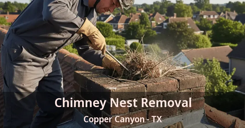 Chimney Nest Removal Copper Canyon - TX Chimney Nest Removal Copper Canyon - TX