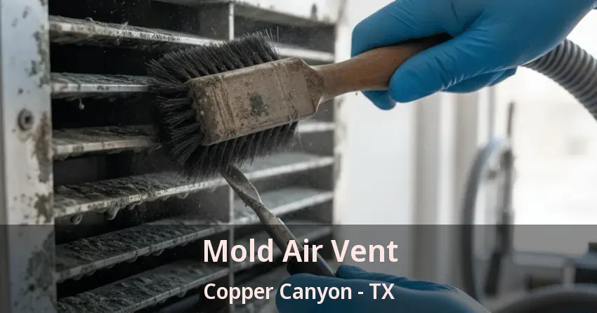 Mold Air Vent Copper Canyon - TX Mold Air Vent Copper Canyon - TX