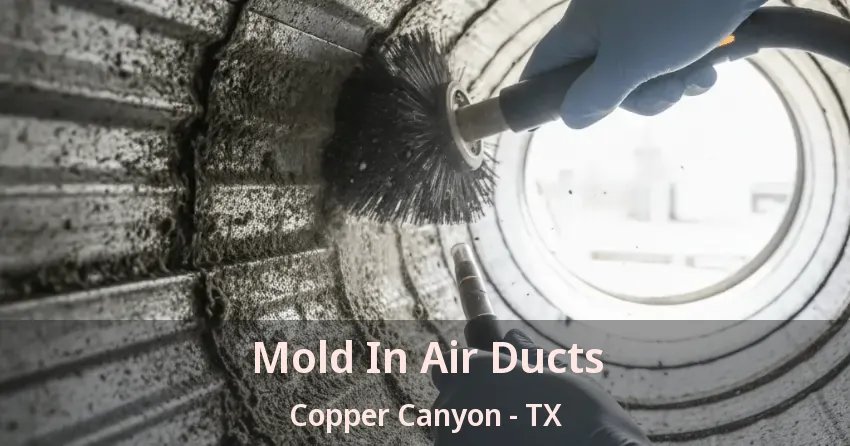 Mold In Air Ducts Copper Canyon - TX