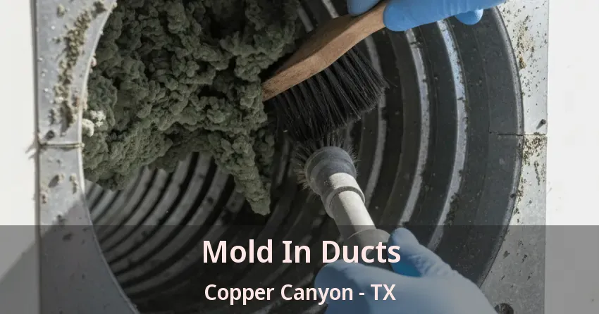 Mold In Ducts Copper Canyon - TX