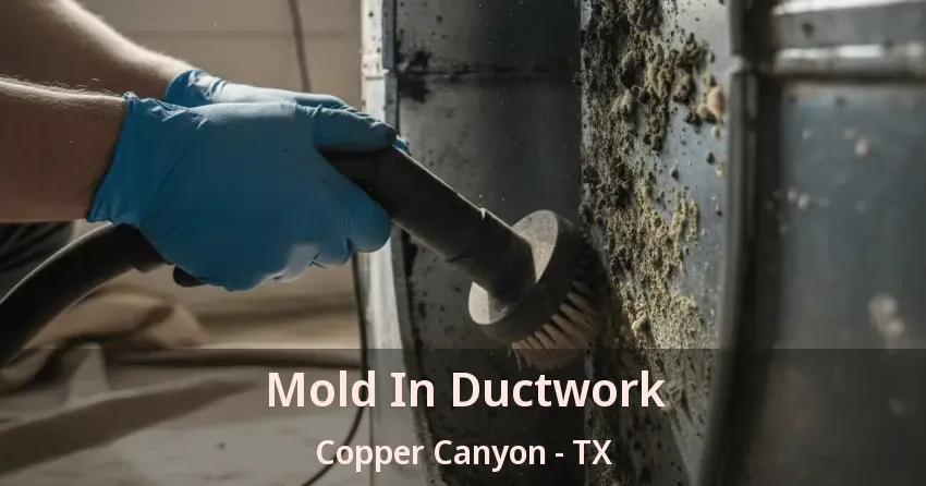Mold In Ductwork Copper Canyon - TX
