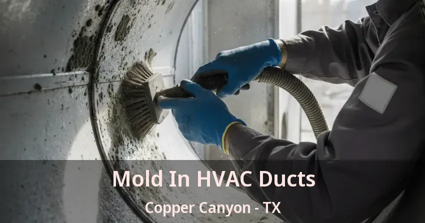 Mold In HVAC Ducts Copper Canyon - TX