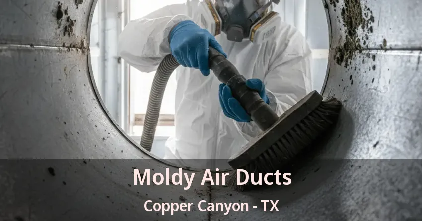 Moldy Air Ducts Copper Canyon - TX
